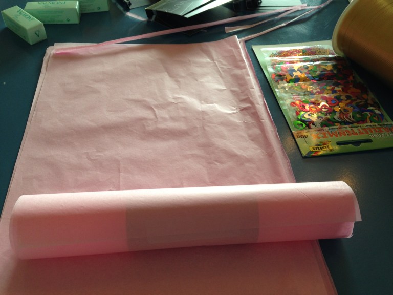 Iphone_NIcole_Dez2013 3095