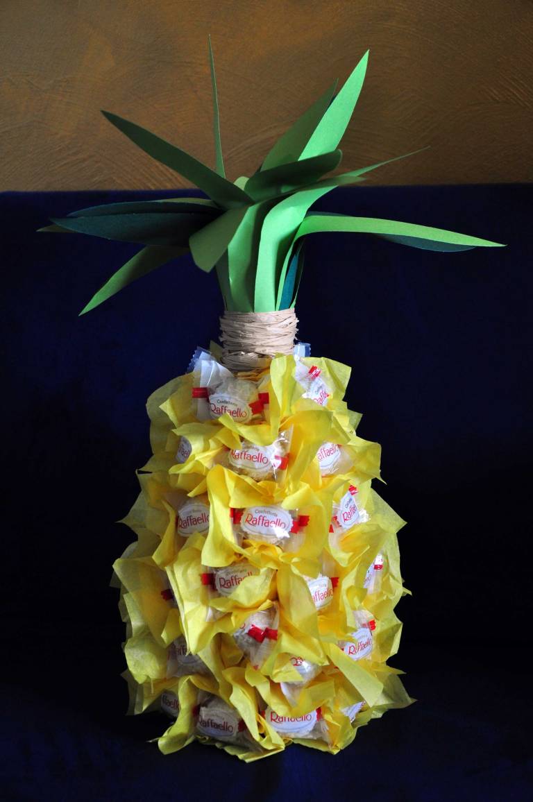 ananas1_DSC_0012