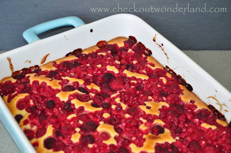 ribisel_himbeerkuchen4_DSC_0007