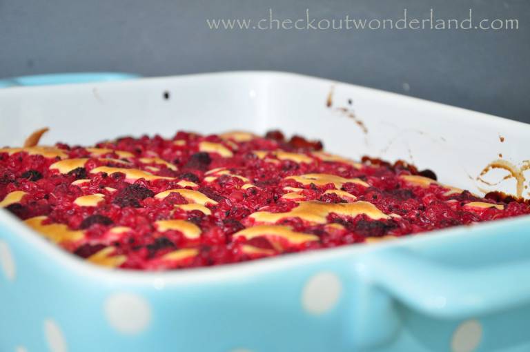 ribisel_himbeerkuchen5_DSC_0008