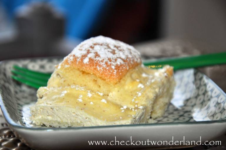 topfengitterkuchen3_DSC_0037