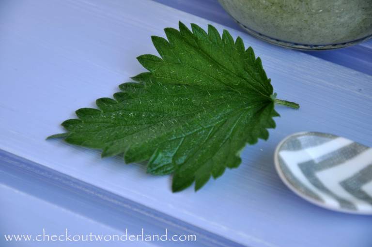 brennesselsuppe9_DSC_0236